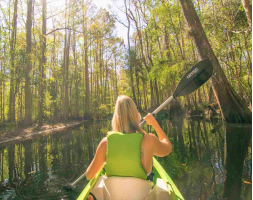 Shingle Creek Guided Kayak Adventure